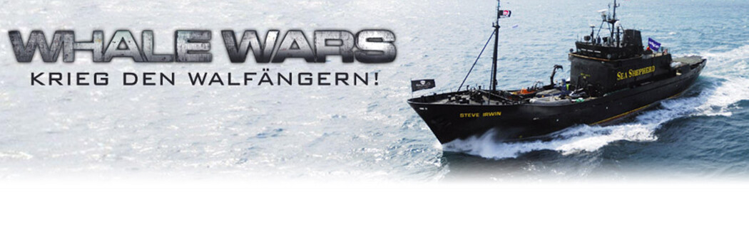 Whale Wars Stream Whale Wars Stream