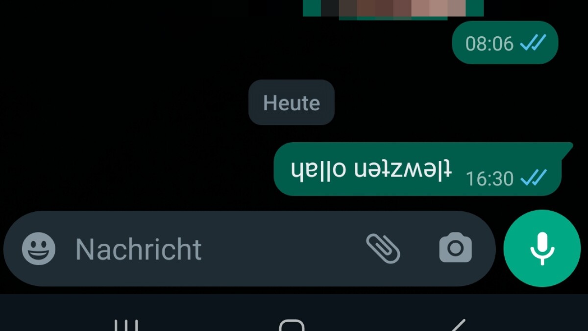 WhatsApp völlig verrückt So schreibt ihr rückwärts oder auf dem Kopf NETZWELT