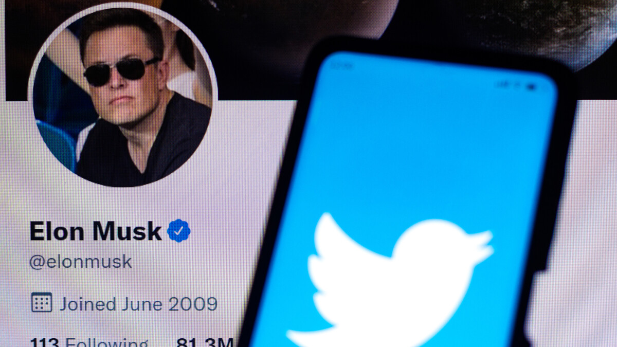 Twitter Darum Seht Ihr Auf Einmal So Viele Musk Tweets Netzwelt