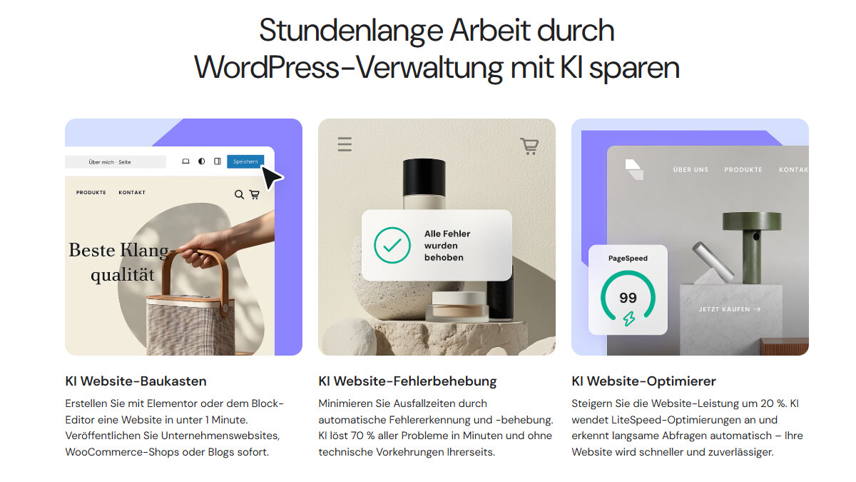 With WordPress Hosting you have versatile functions available.
