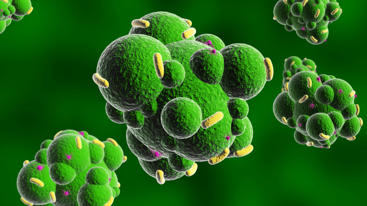 Eine Doktorandin hat ein Modell ausgearbeitet, um Doom auf Bakterien zu spielen.