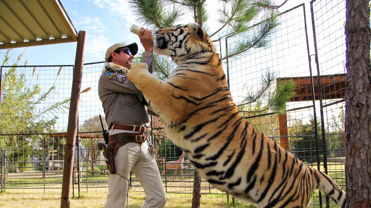 "Tiger King" Staffel 2