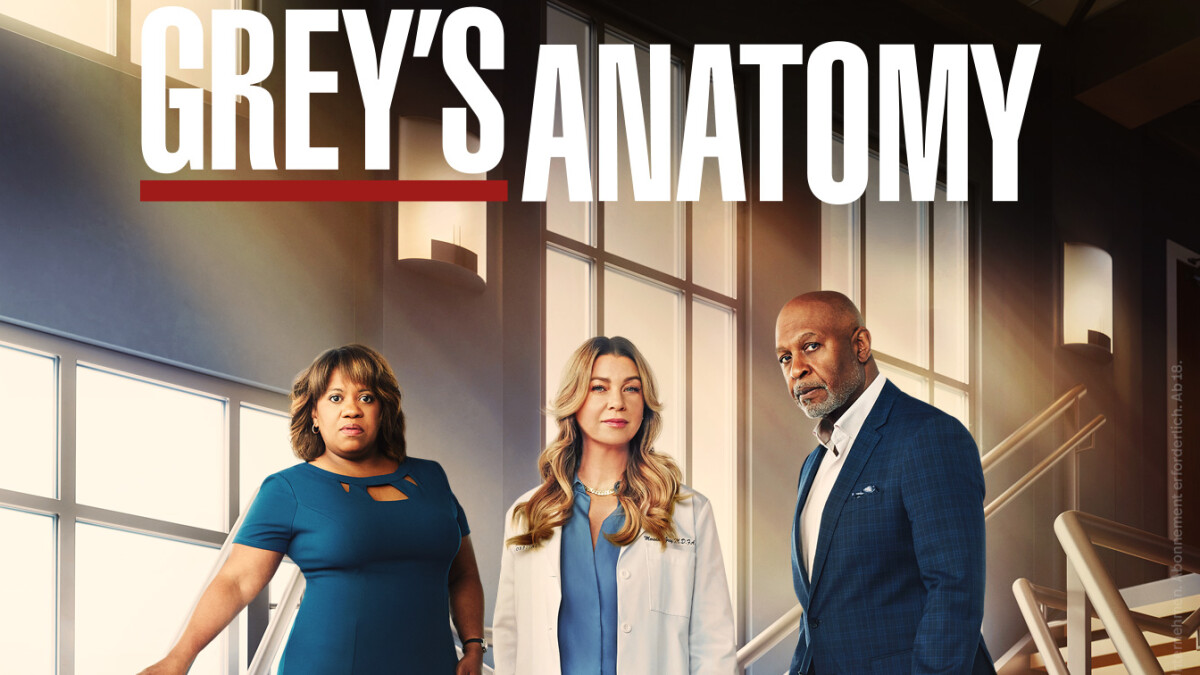 Affiche de la saison 19 de Grey's Anatomy
