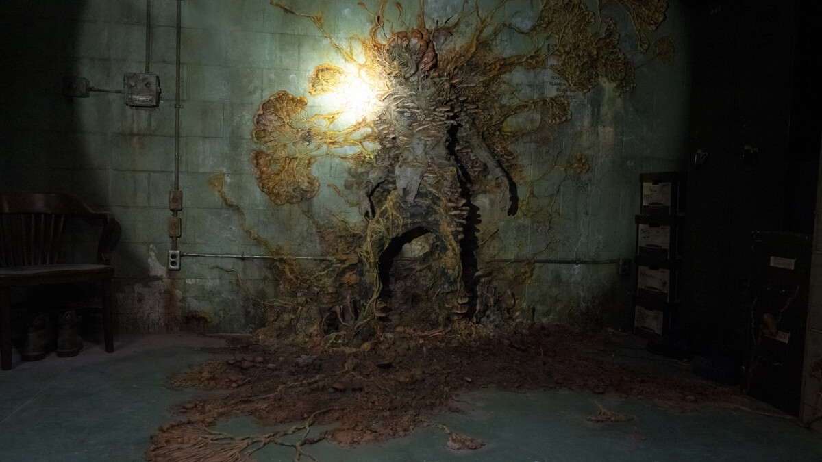The Last of Us: The fungus completely destroyed an infected.