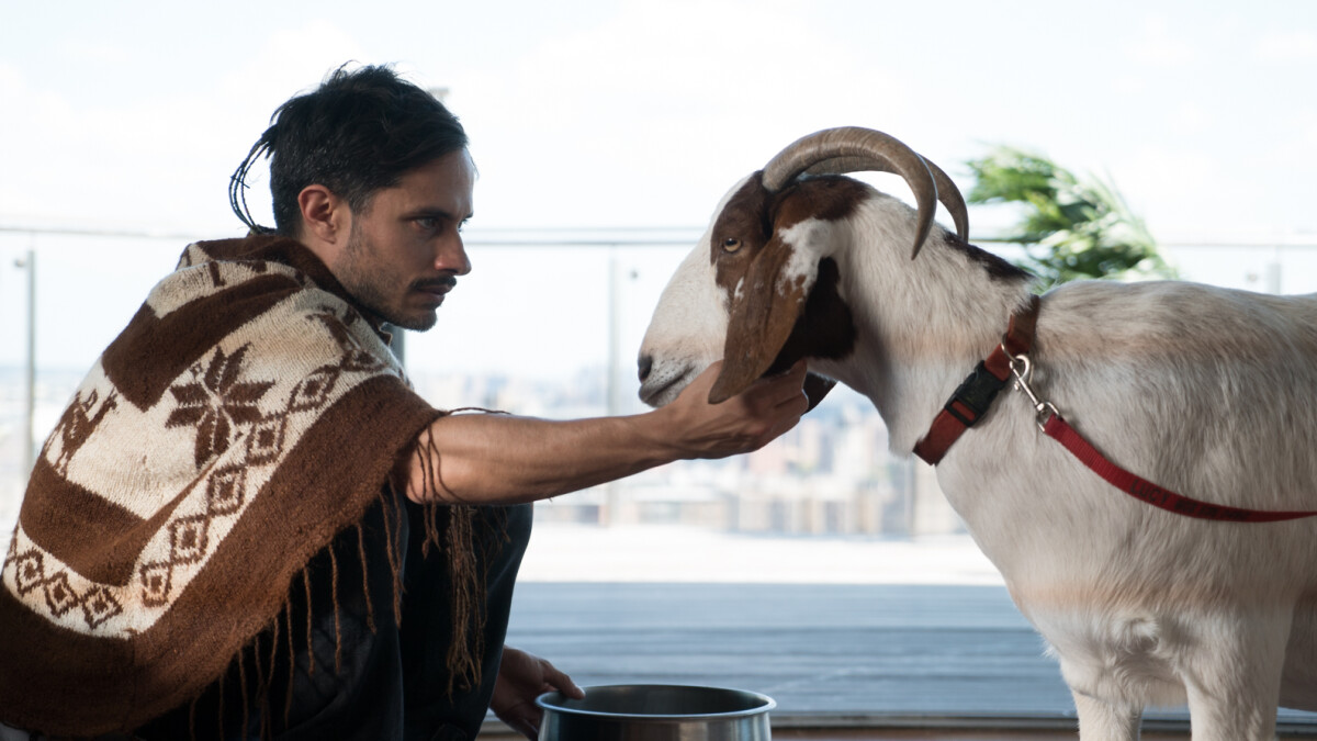 Mozart in the Jungle Staffeln und Episodenguide Dramedy NETZWELT