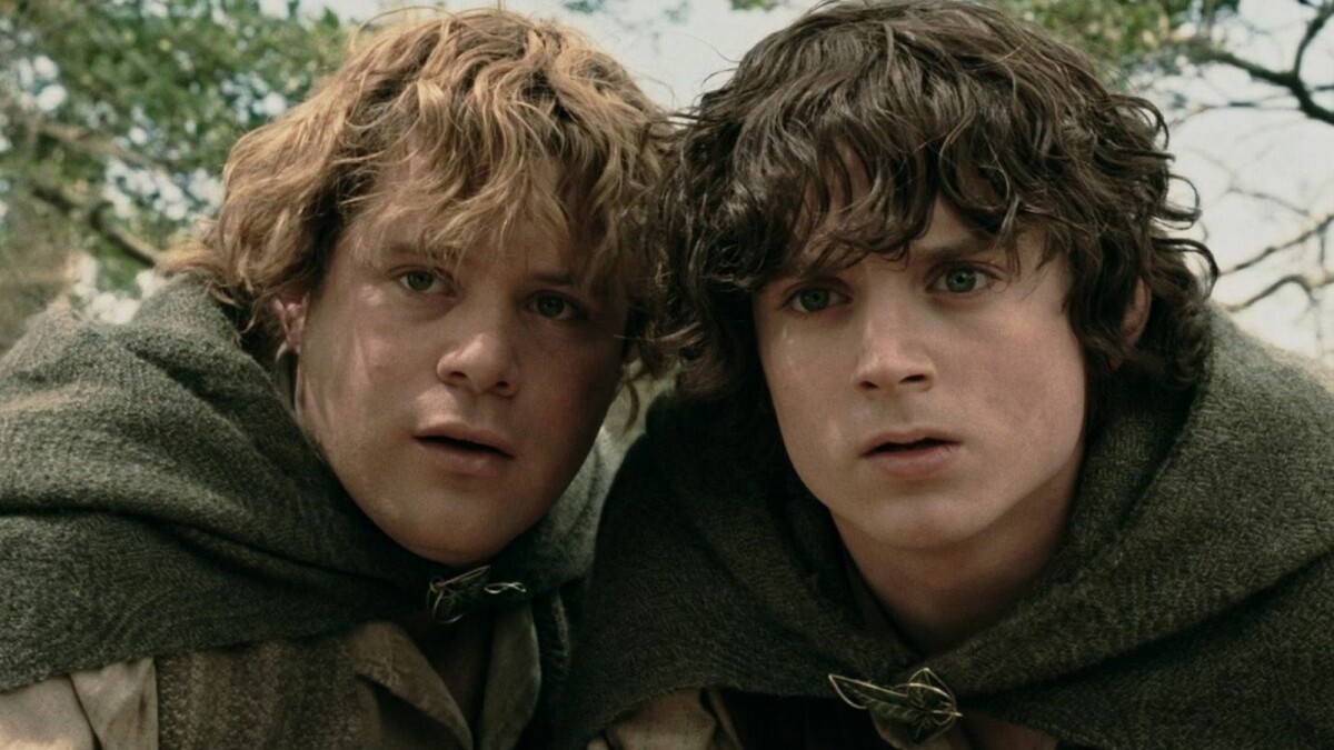 The Lord of the Rings: Sam and Frodo