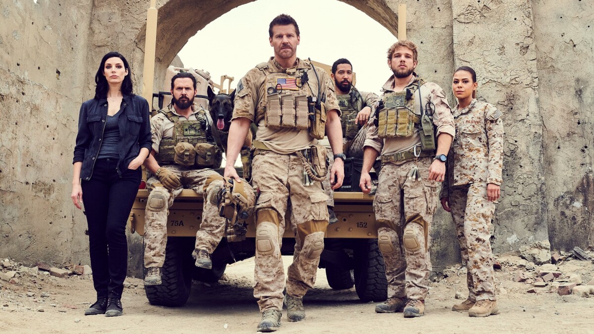 That "SEAL team" is back in action - but only behind the payment barriers of pay TV and WOW.