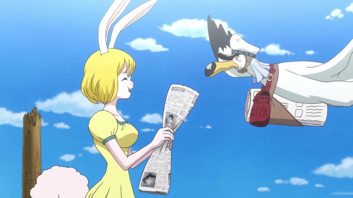 Not only Carrot is happy about the good news "one piece"