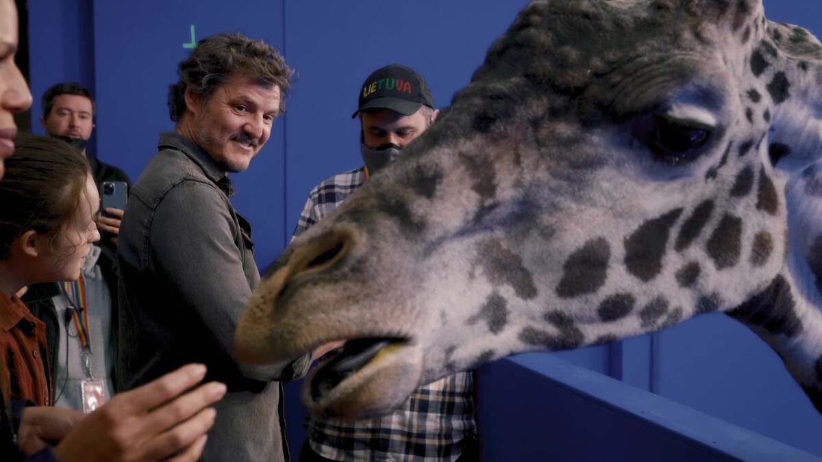 The Last of Us: Disparar con la jirafa pareció ser muy divertido para todo el elenco