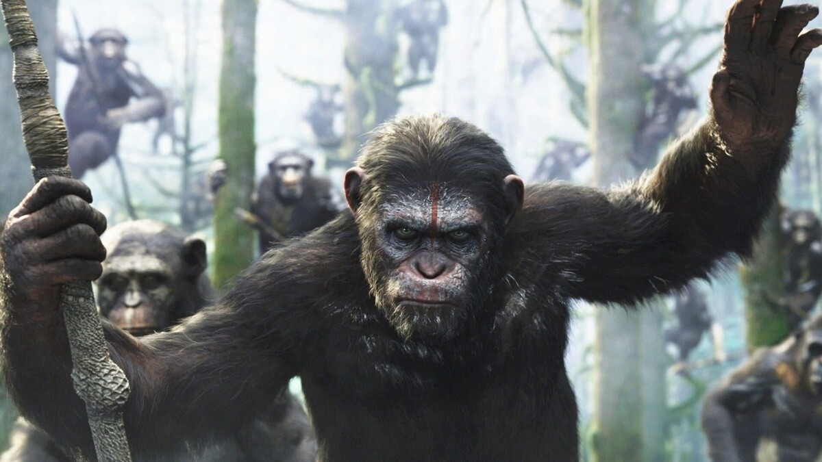 El planeta de los simios - Revolución: César, un amigo de los humanos