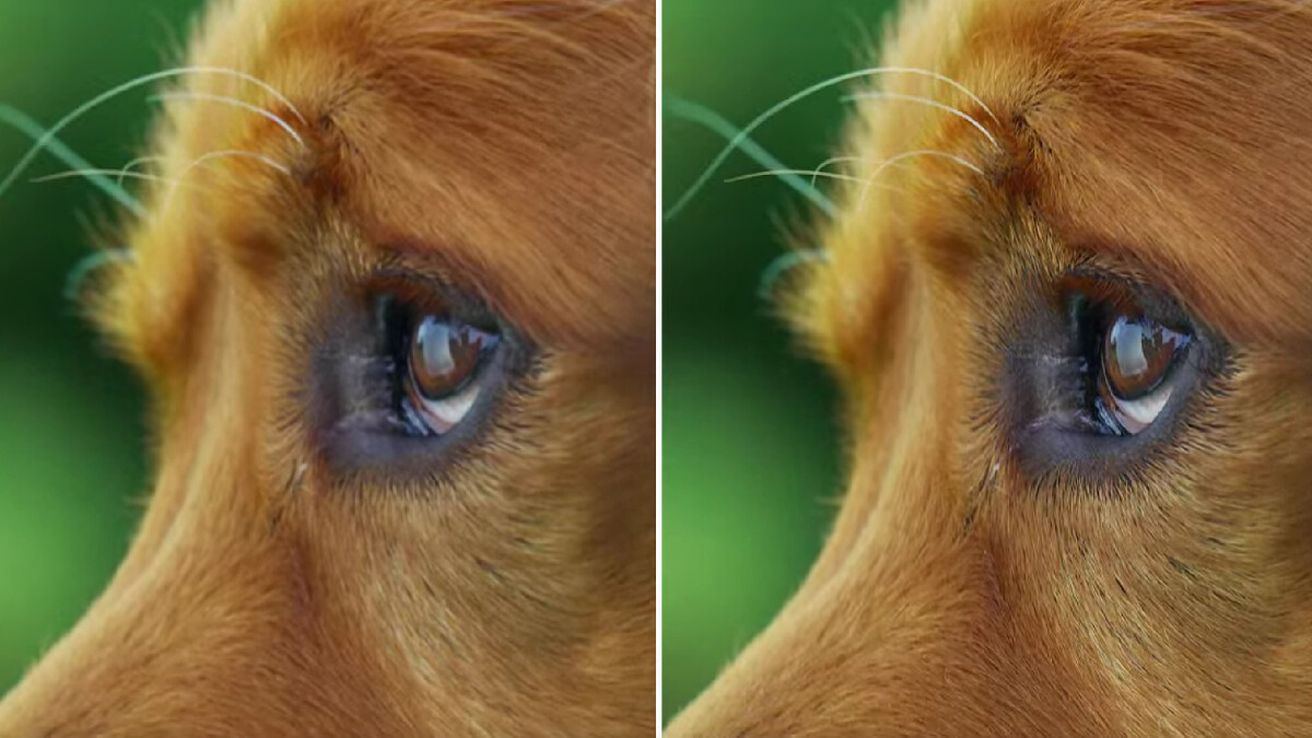 The difference between 4K and 8K resolution is not serious, but clearly visible.