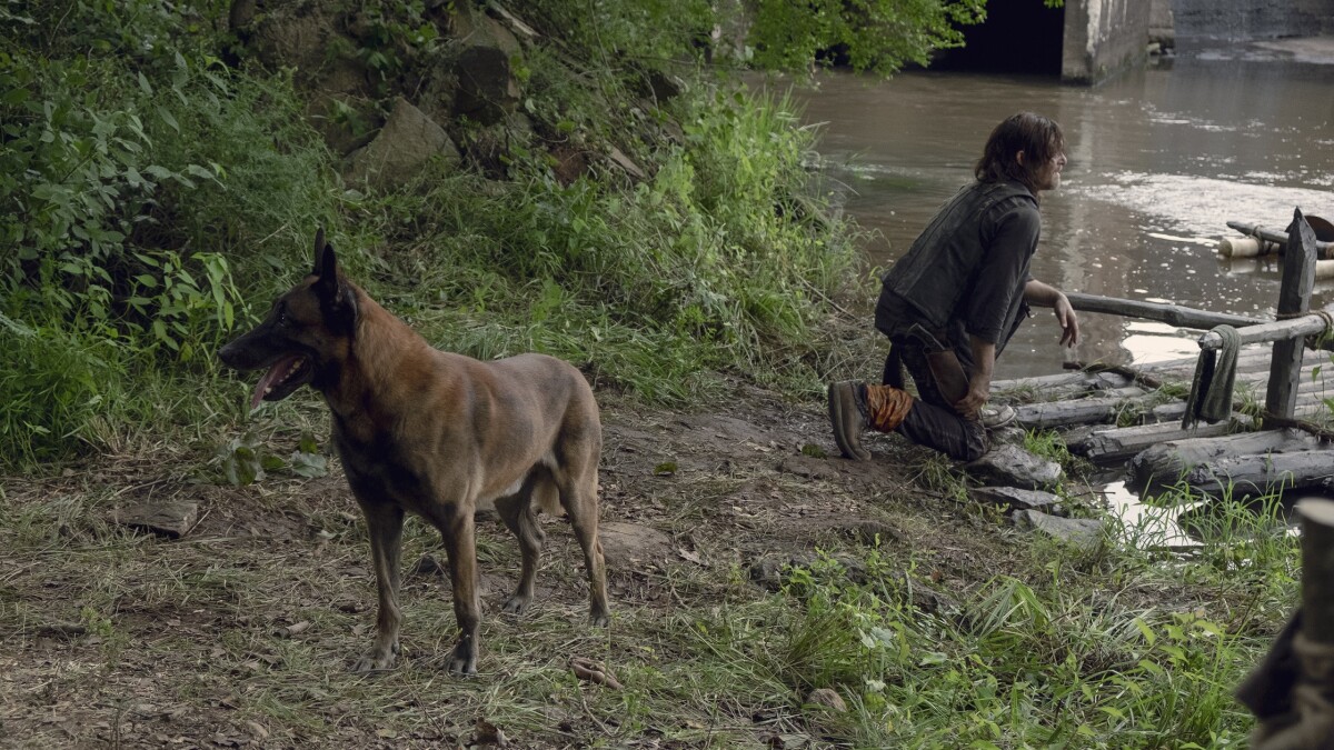 The Walking Dead: En la temporada 9, el ermitaño Daryl recibió apoyo animal