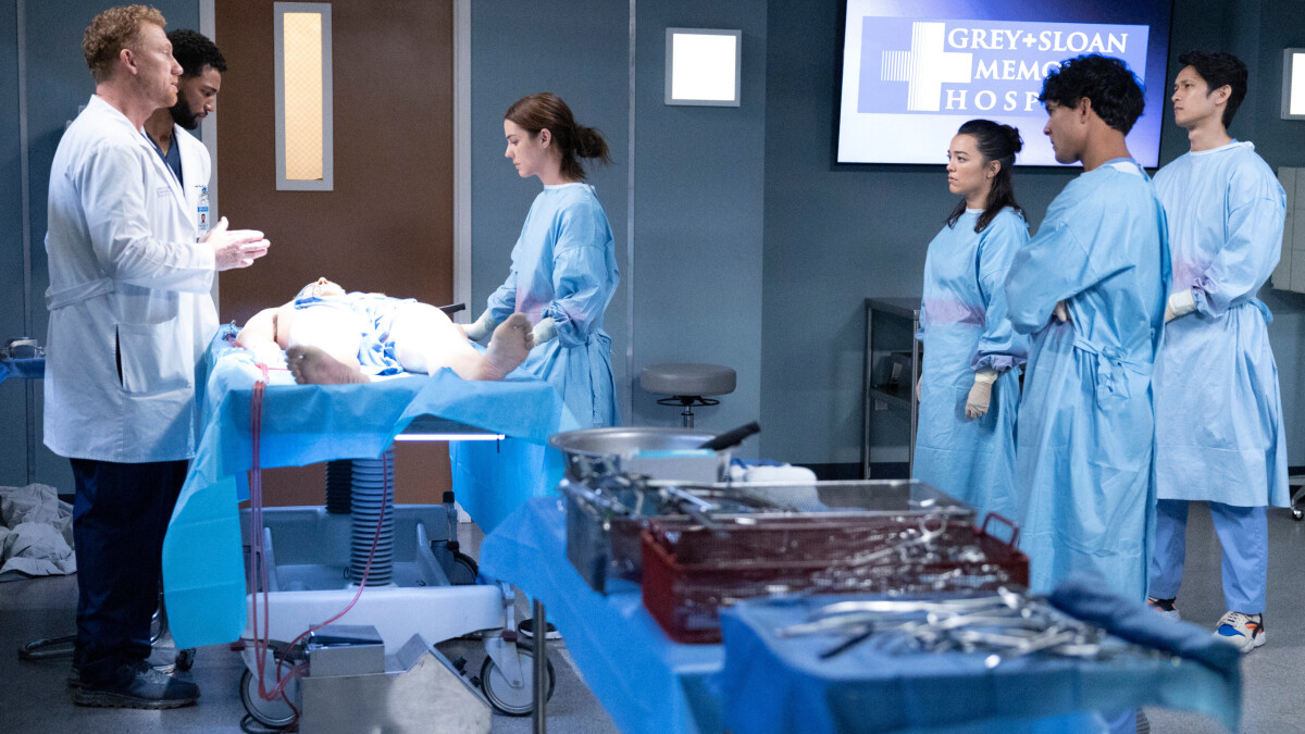 Grey's Anatomy: Obtiene una vigésima temporada 