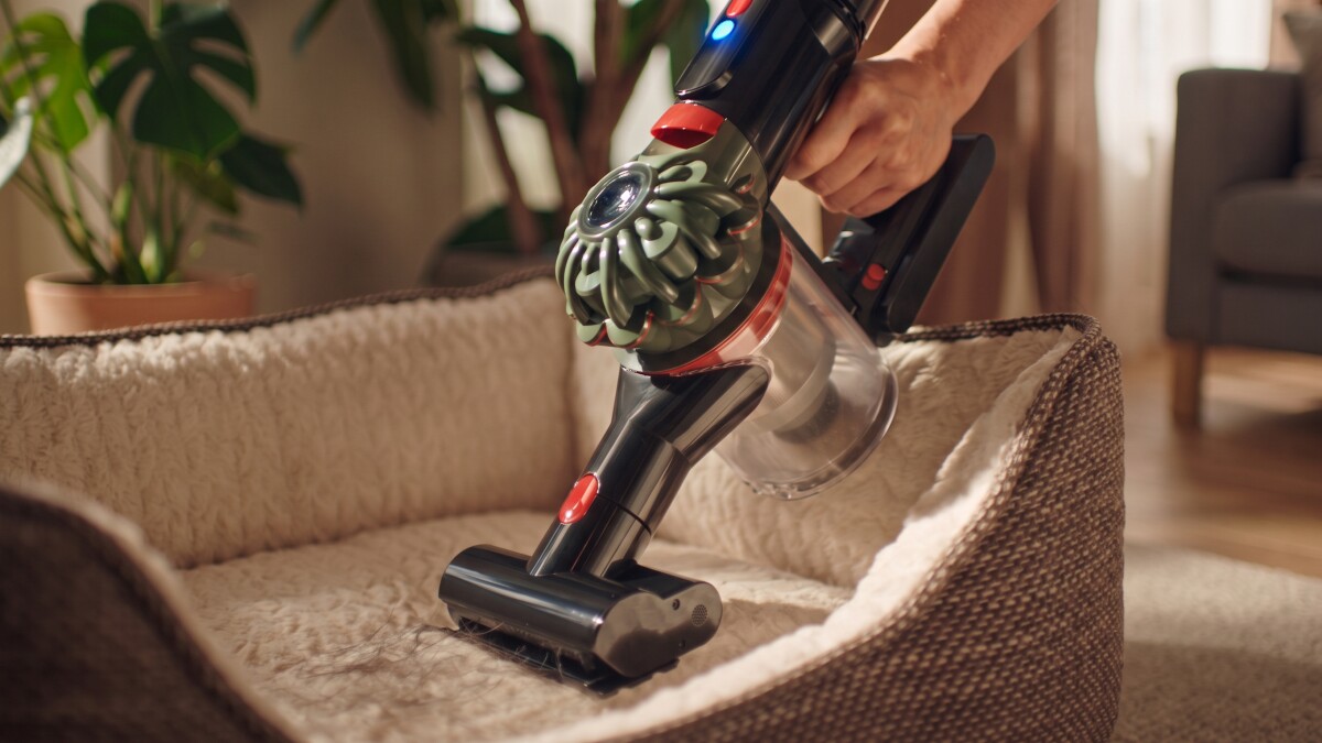 Dyson V8 Cyclone zum neuen Tiefpreis: Wer einen Akkusauger sucht ...