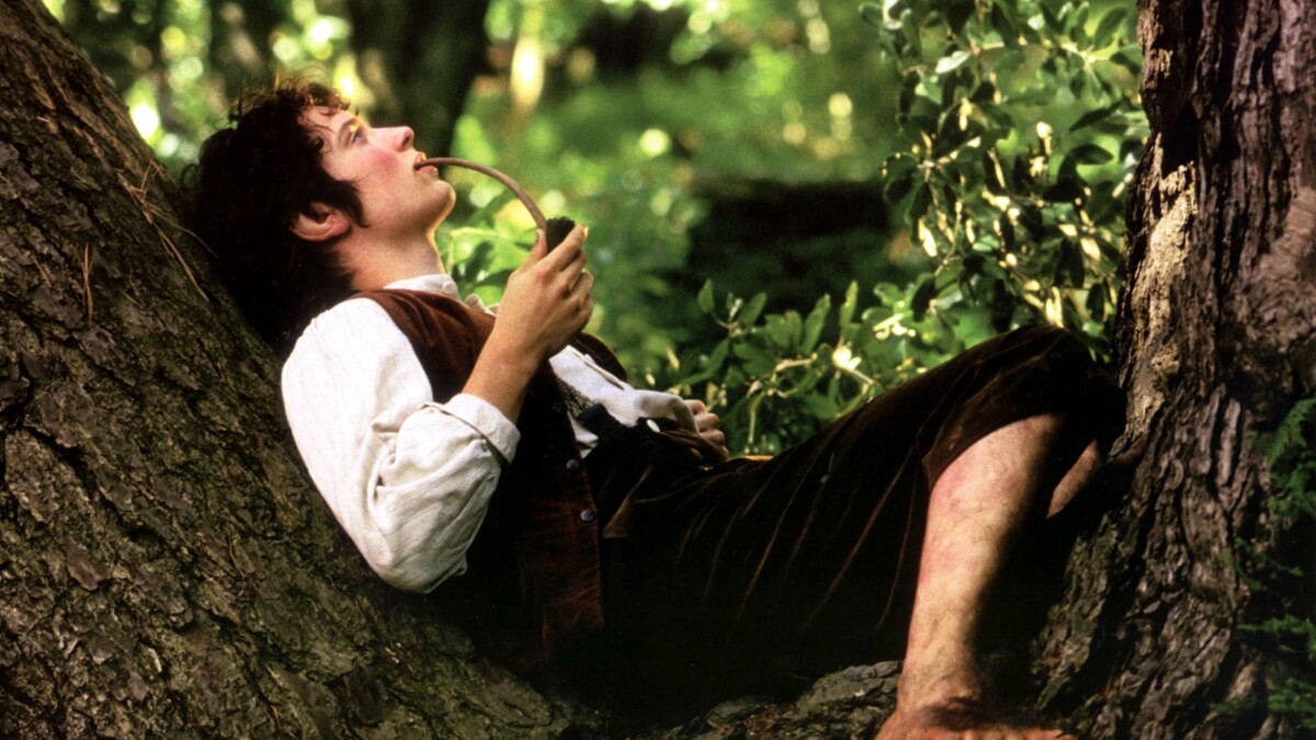 Frodo Bolsón está en "señor de los Anillos" interpretado por Elijah Wood.