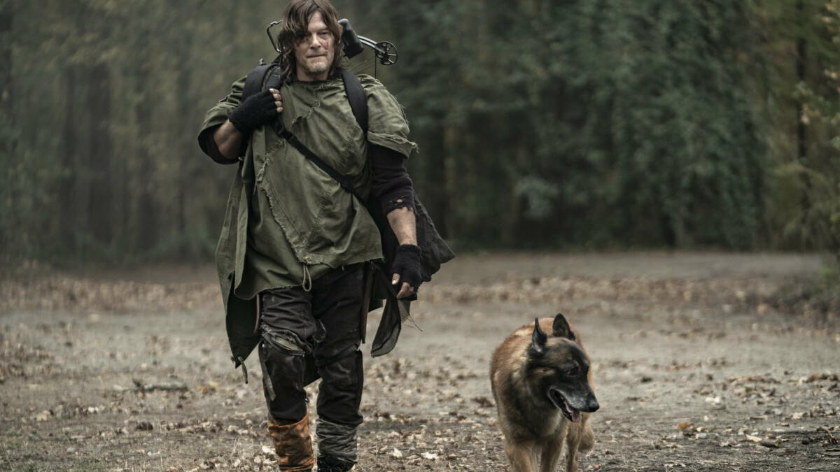 Los muertos vivientes: Daryl y perro