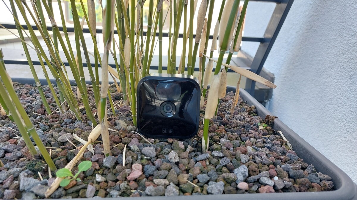 Blink OutdoorKamera im Test Günstige Außenkamera für den Garten