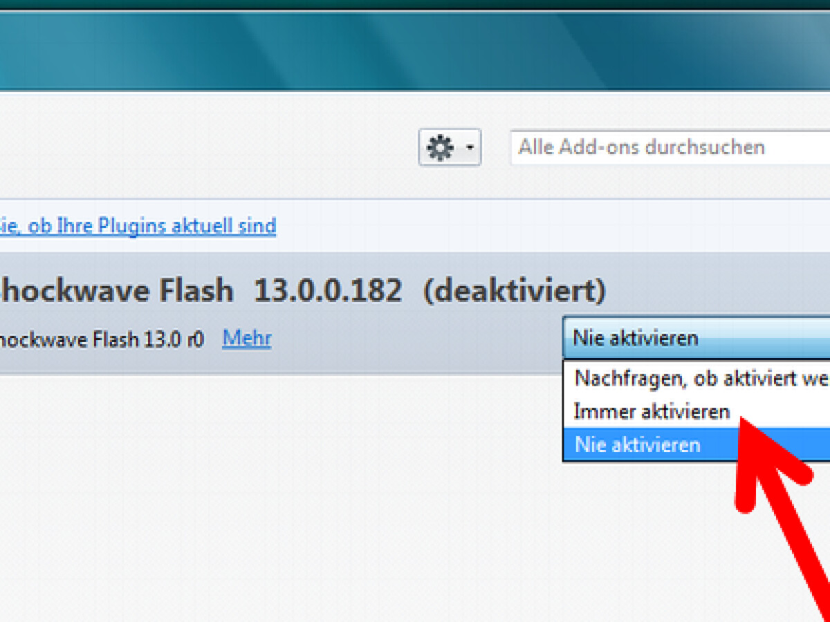 flash plugin in tor browser gydra