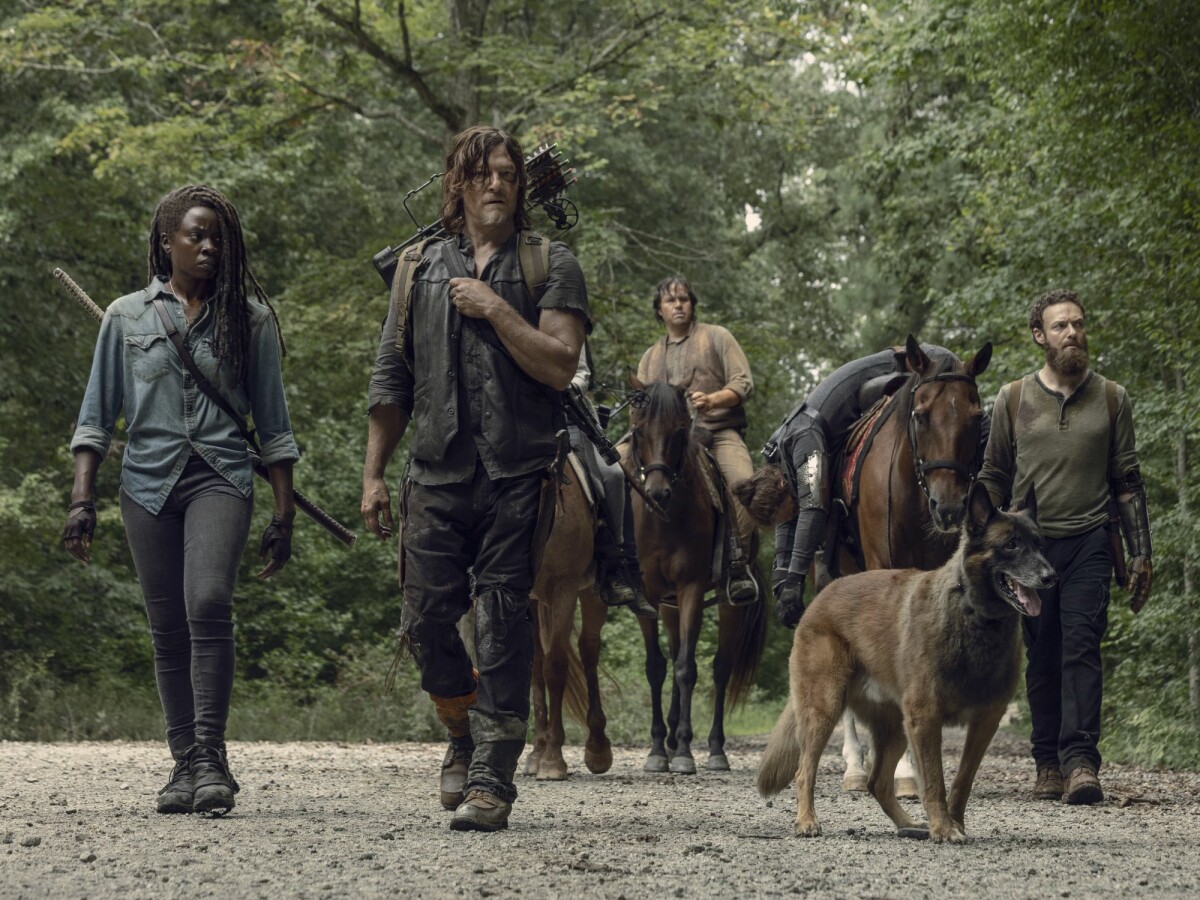 The Walking Dead Staffel 11 Folge 9