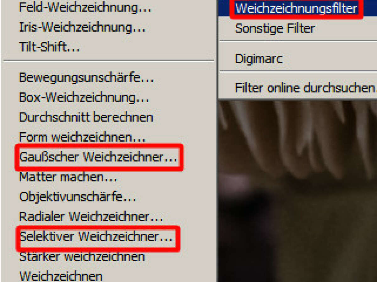 Photoshop So Entfernen Sie Das Bildrauschen Netzwelt