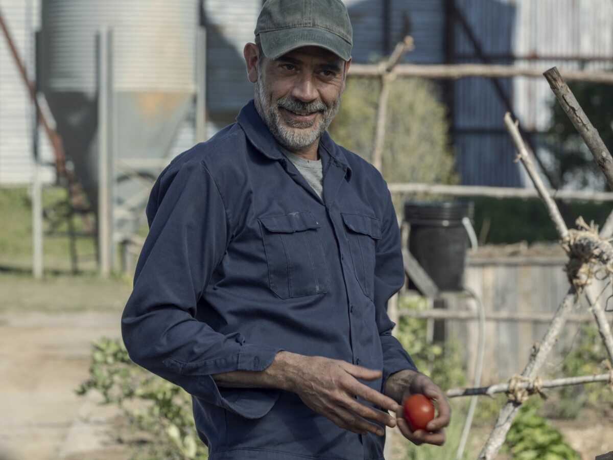 The Walking Dead Staffeln Und Episodenguide News Netzwelt