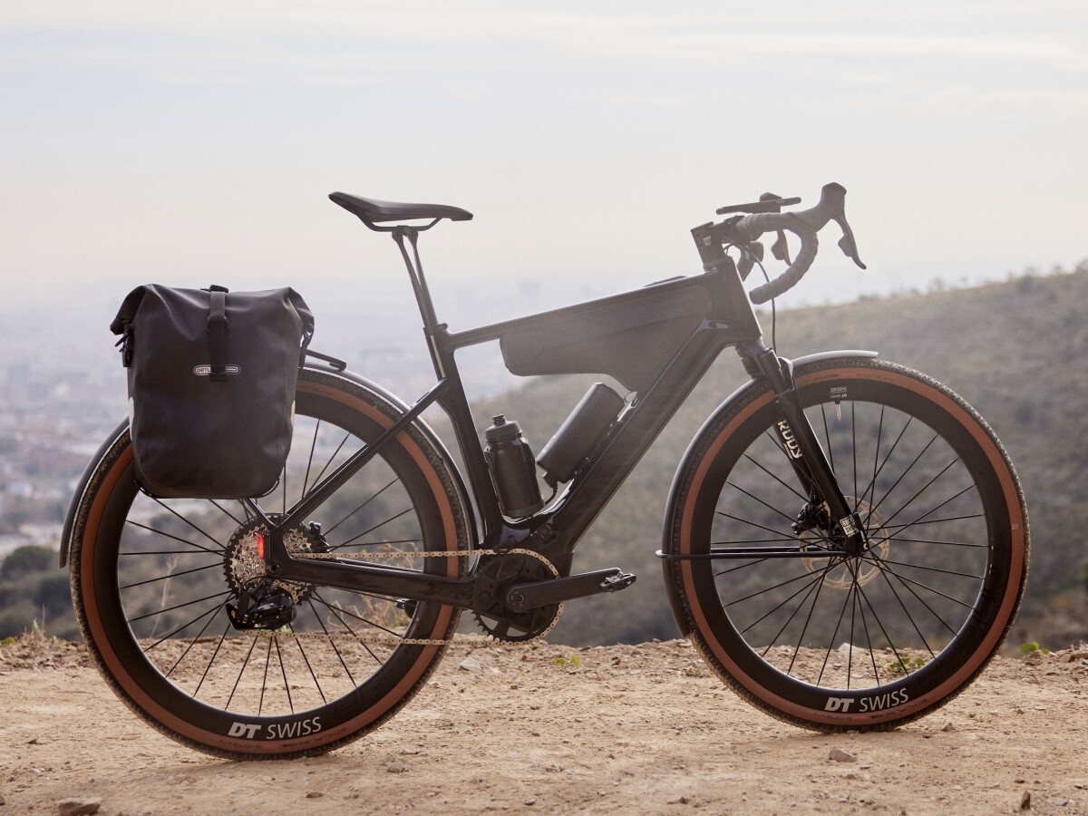 pegasus mountainbike Pegasus Step-through Mid-motor E-Bike – Wolff E-Bikes main image 0