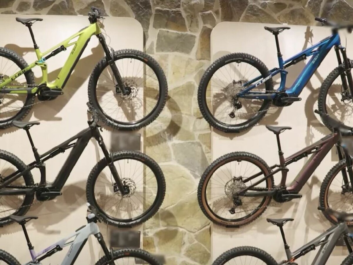 fahrradständer baywa 3-fach online kaufen Toyota Land Cruiser 78/79 AirPods sicher aufbewahren: Tipps, Farbe:U4 Schwar