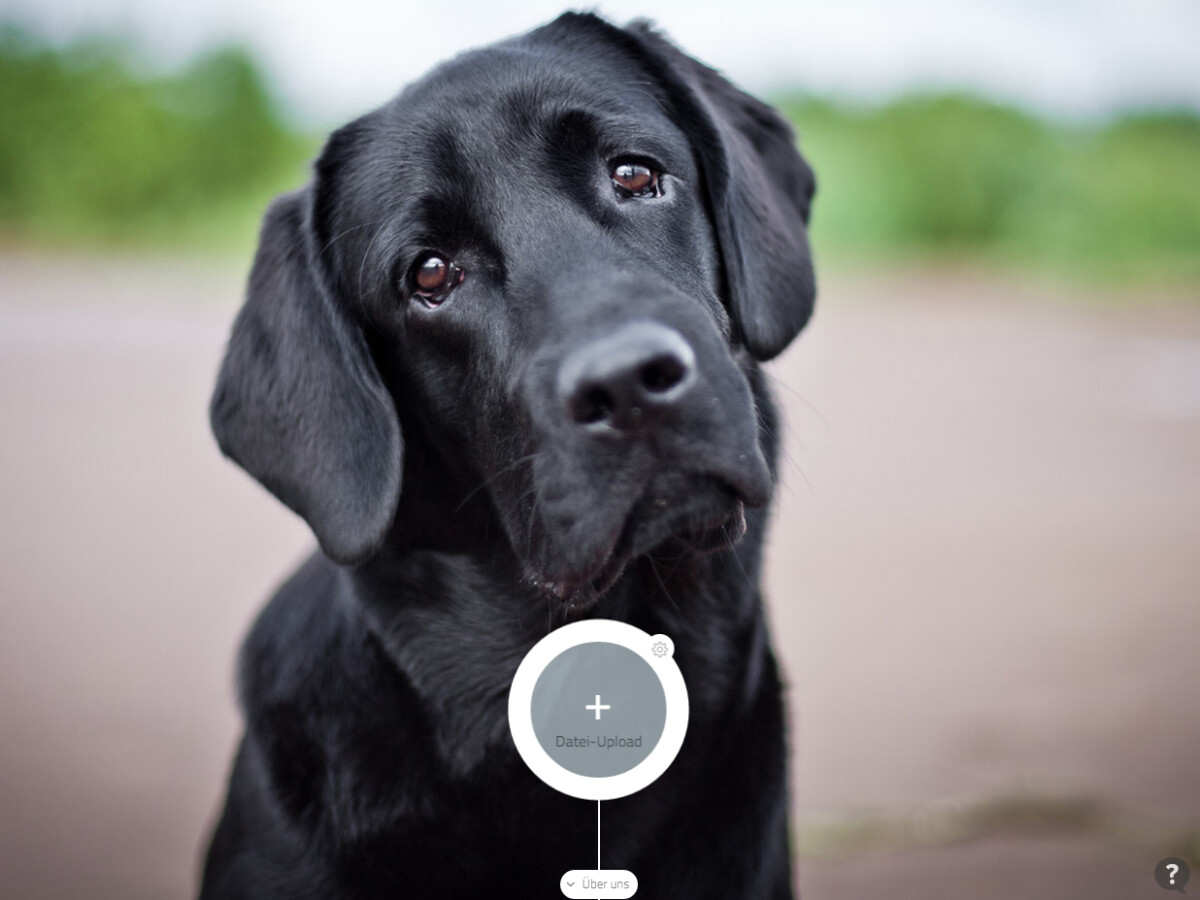 Transferxl Beliebig Grosse Dateien Sicher Und Kostenlos Versenden Netzwelt