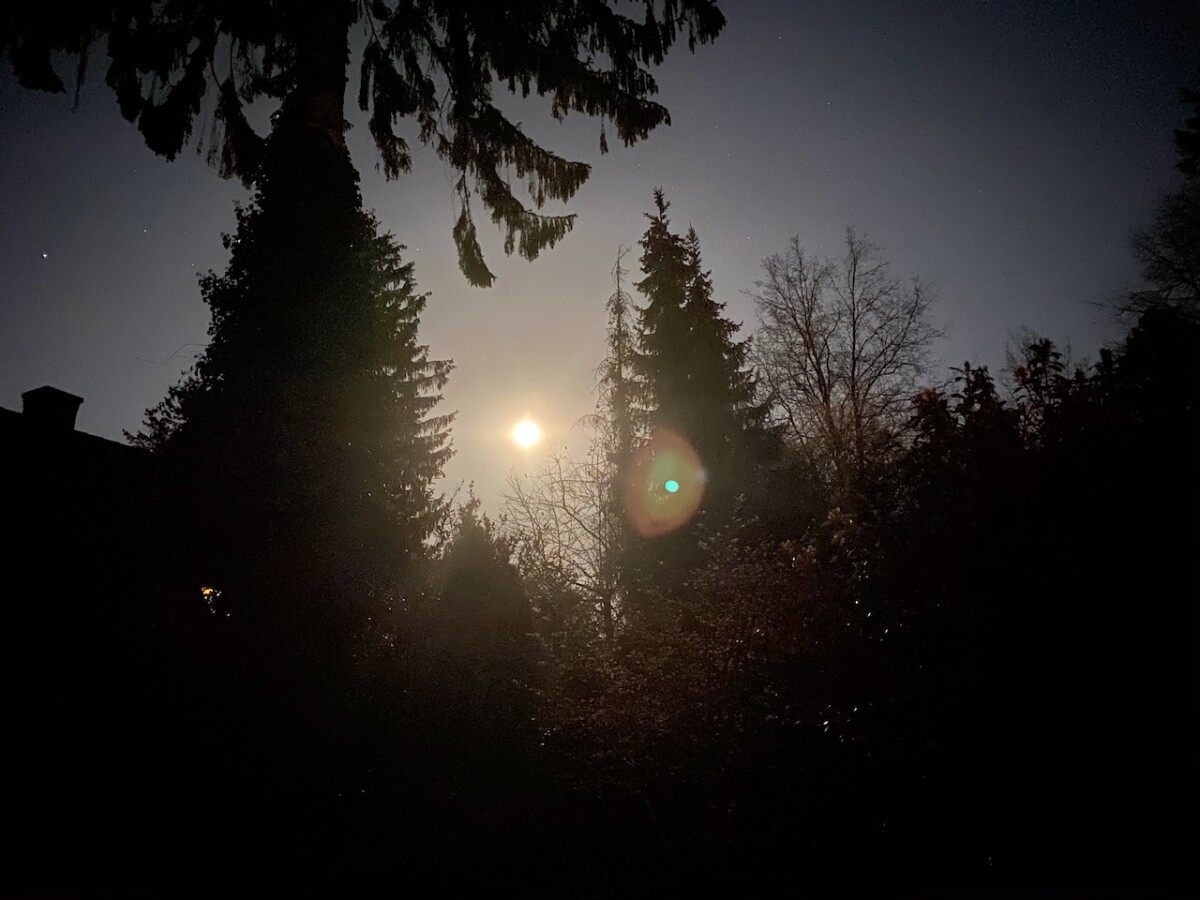 Lens Flare: Unwanted points of light appear.