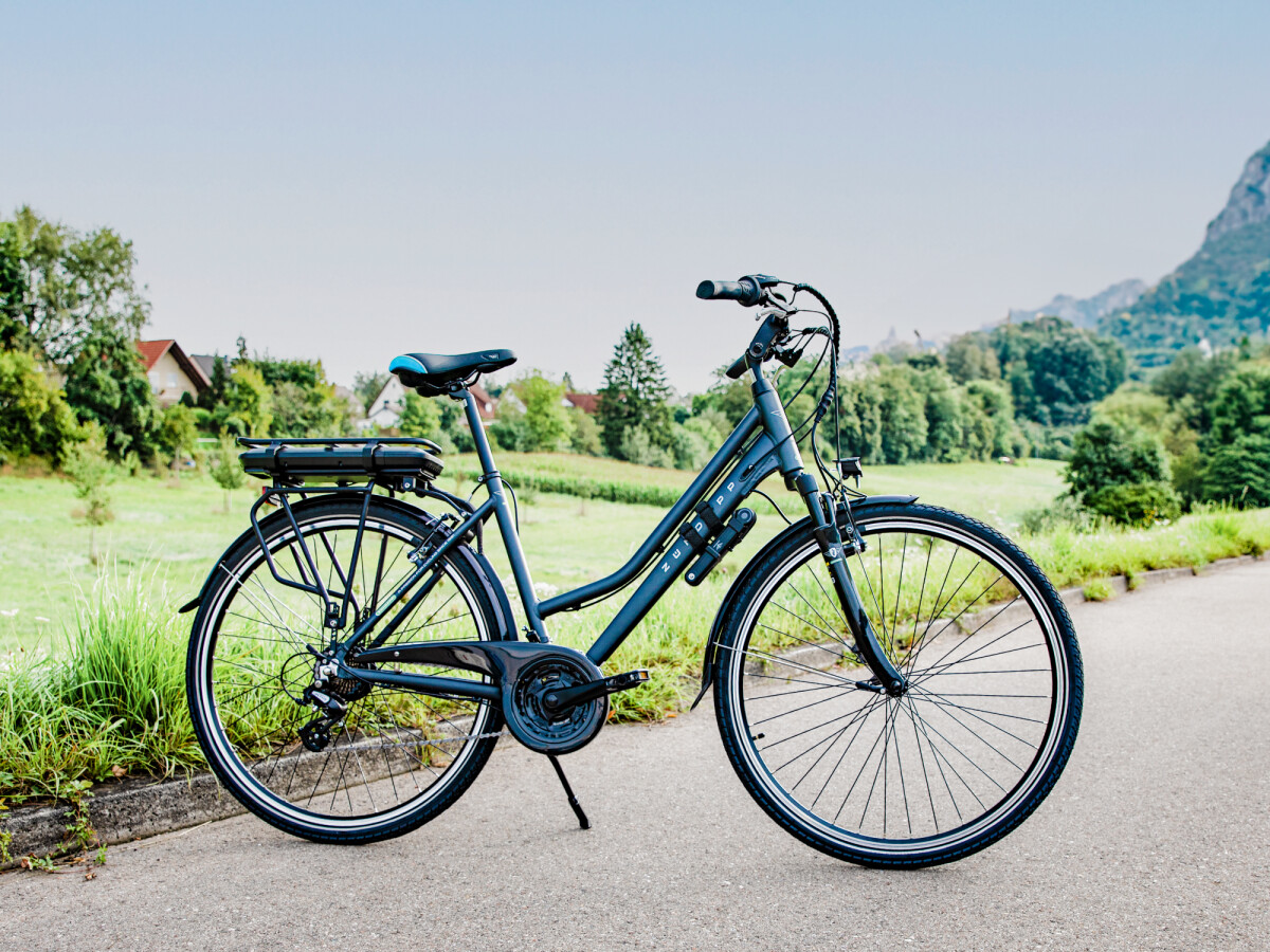 fahrrad bremsbacken kaufen V-Bremsbeläge Bremsklötze Bremsschuhe 70mm 55mm – Wiederaufgearbeitetes Produkt - Rockrider Size:EE XL powerful electric bike
