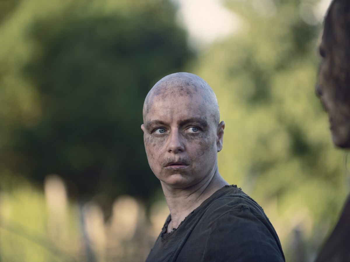 Wann Erscheint Walking Dead Staffel 5 Wann Erscheint Walking Dead Staffel 5