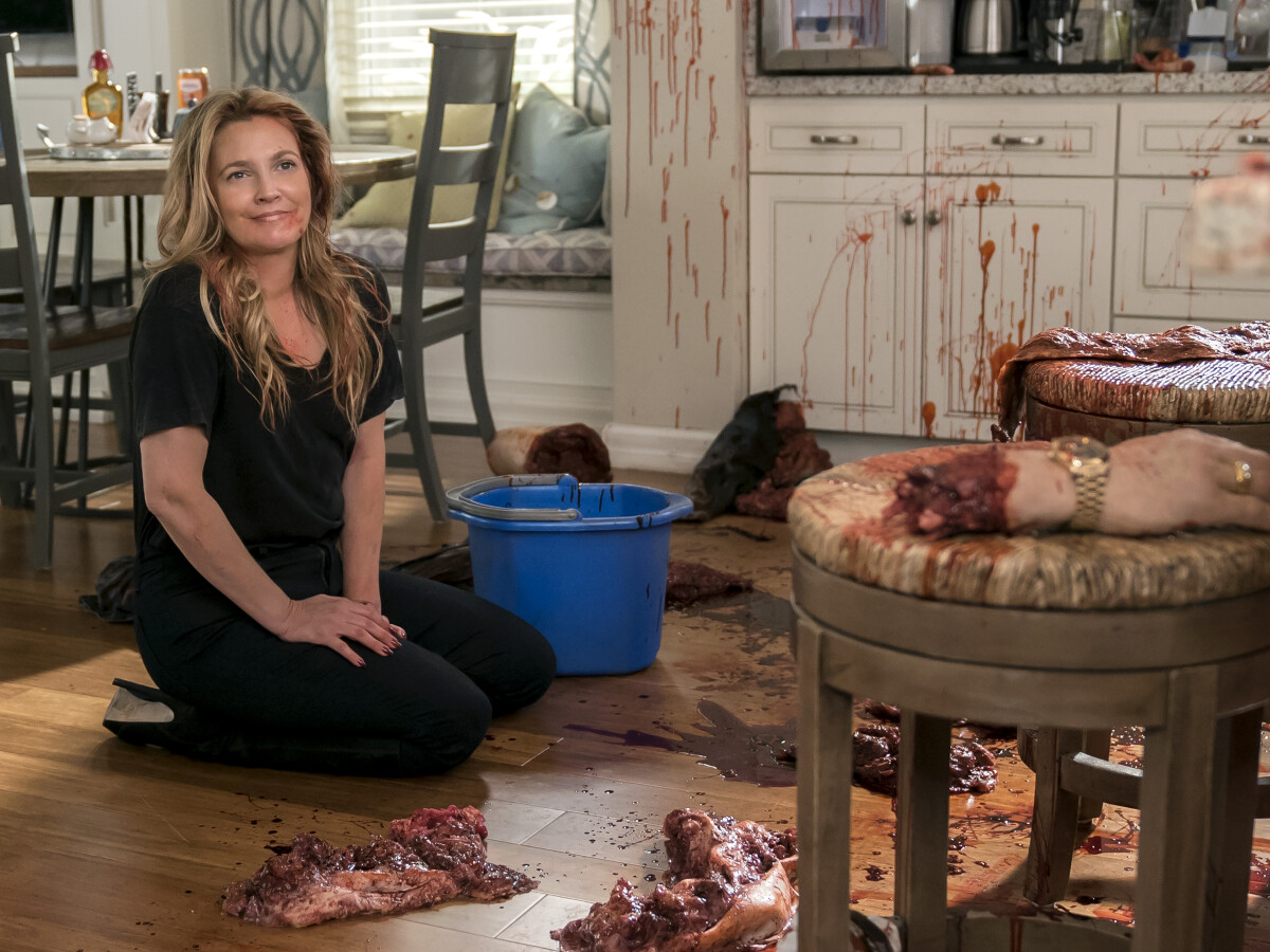 Santa Clarita Diet Kritik Santa Clarita Diet Kritik