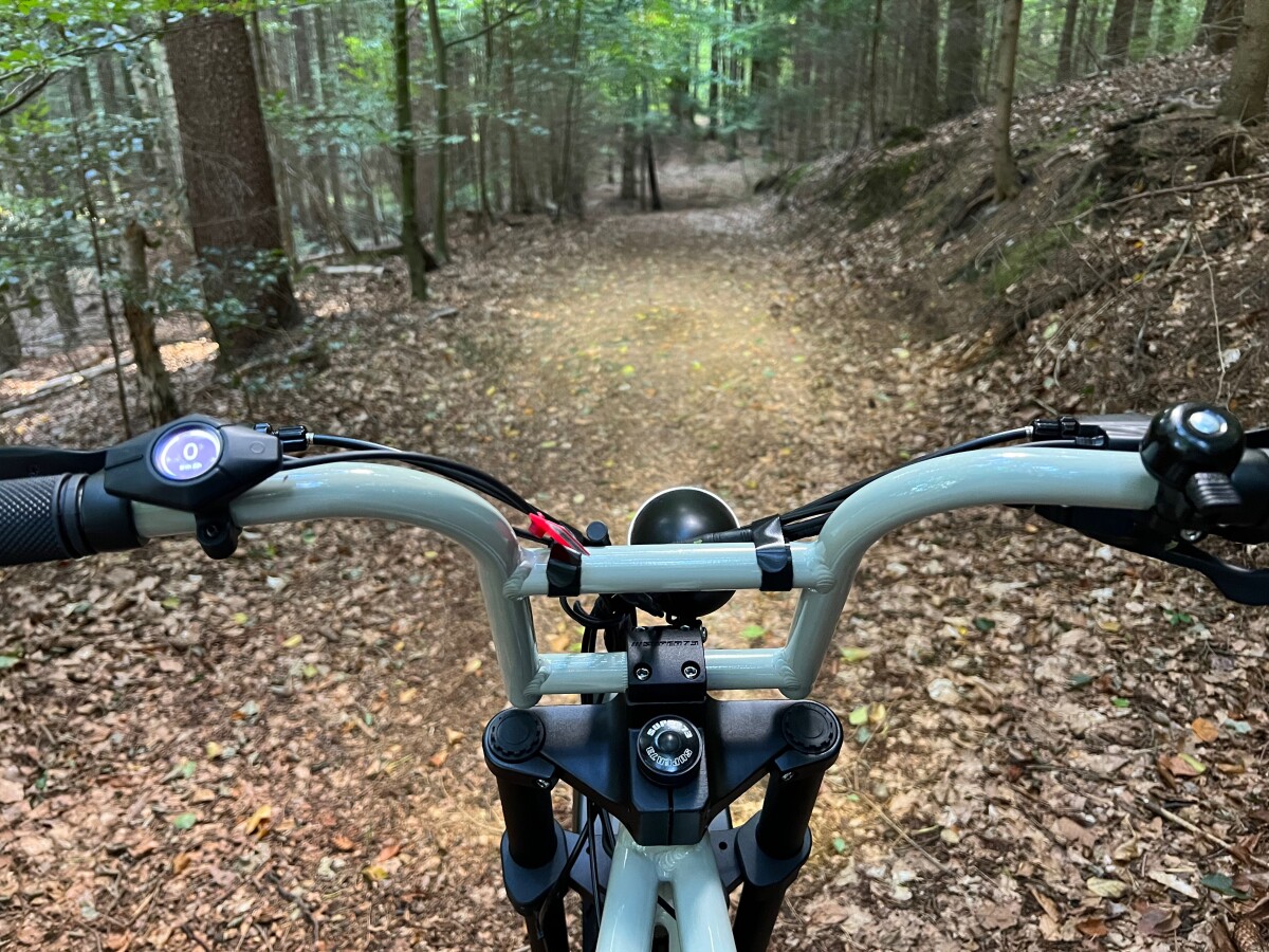 Der Nachhauseweg führt durch eine Waldstrecke. Kein Problem dank Licht und dicken Reifen.