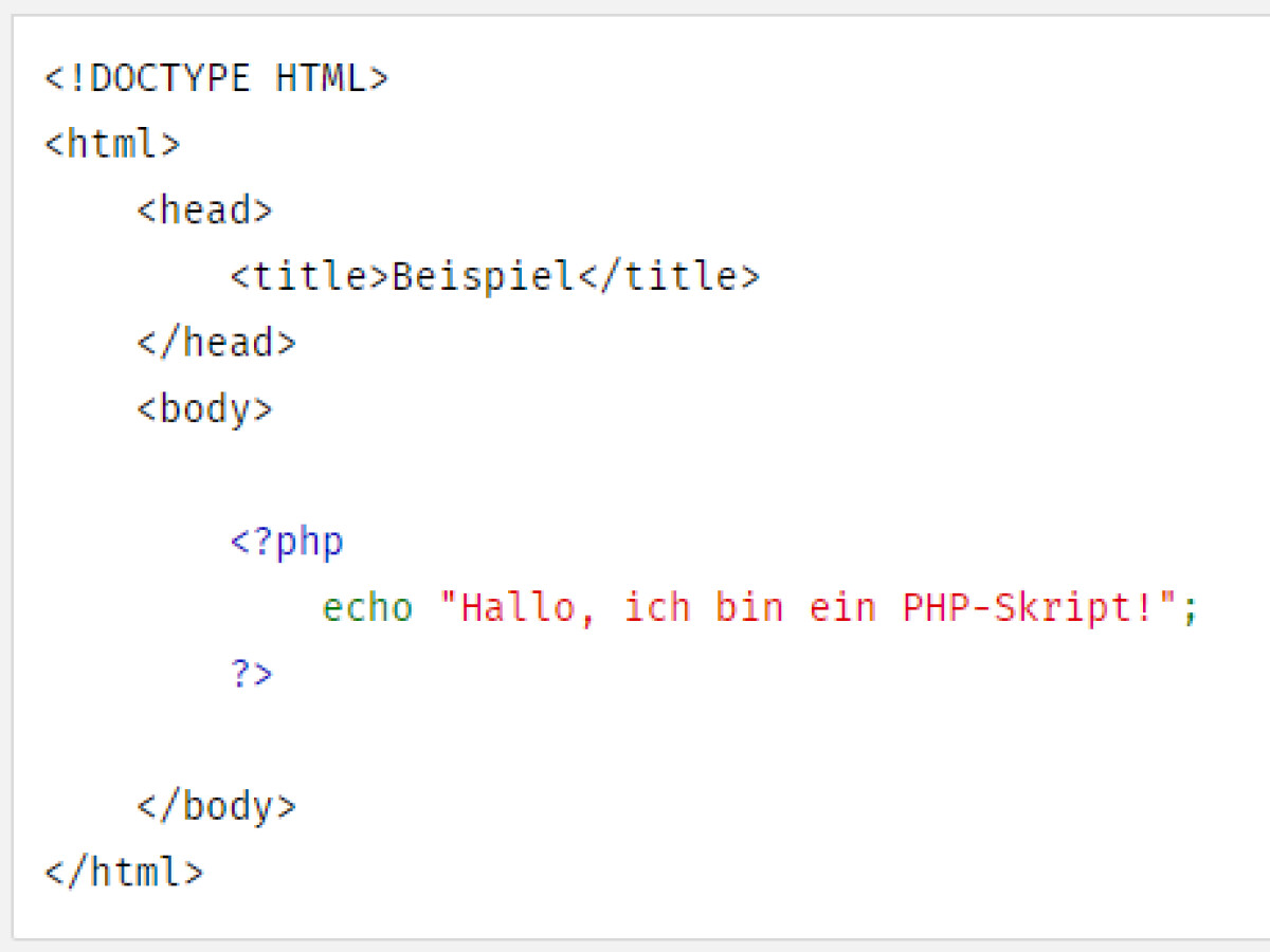 PHP - Download  NETZWELT