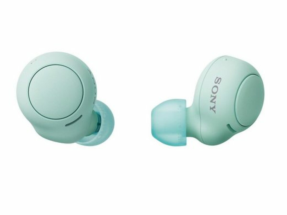 Écouteurs intra-auriculaires Sony WF-C500