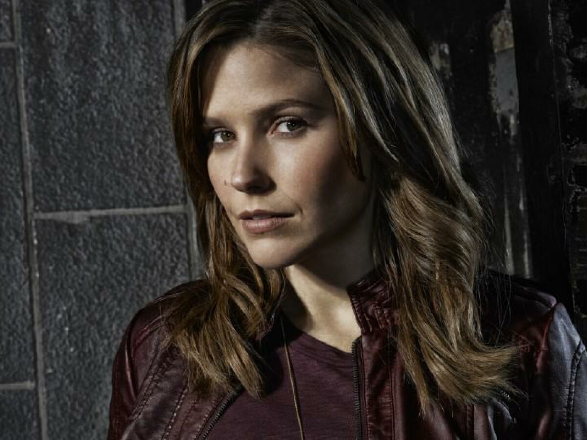 Chicago P.D. Das ist Erin Lindsay NETZWELT