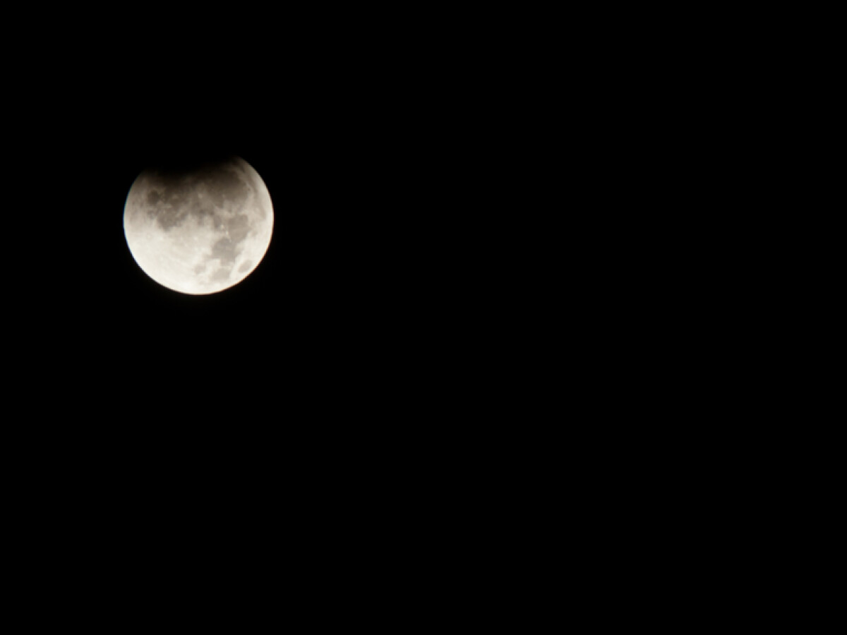 Mondfinsternis Netzwelt