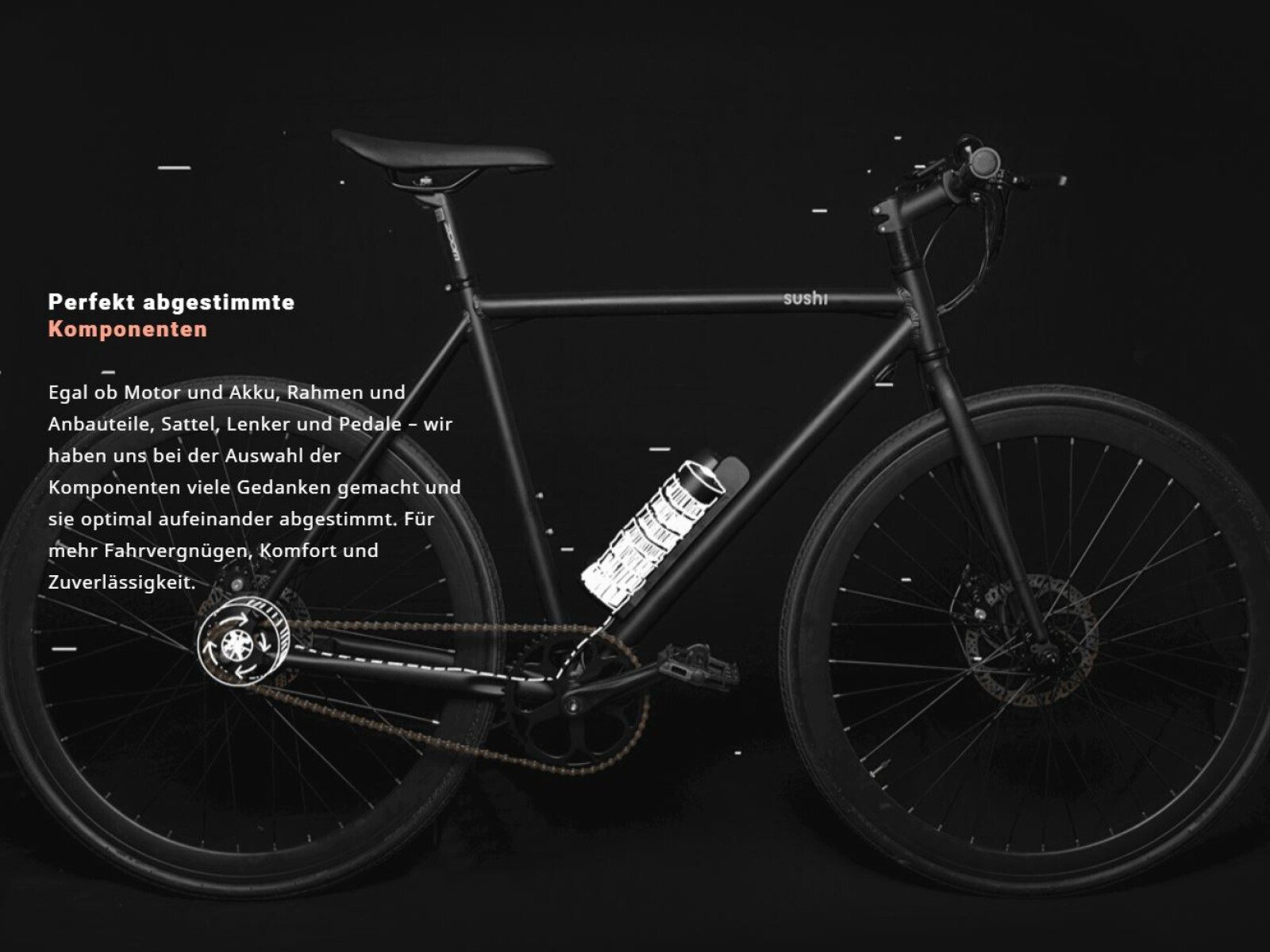 Vorstellung Sushi Bikes Netzwelt