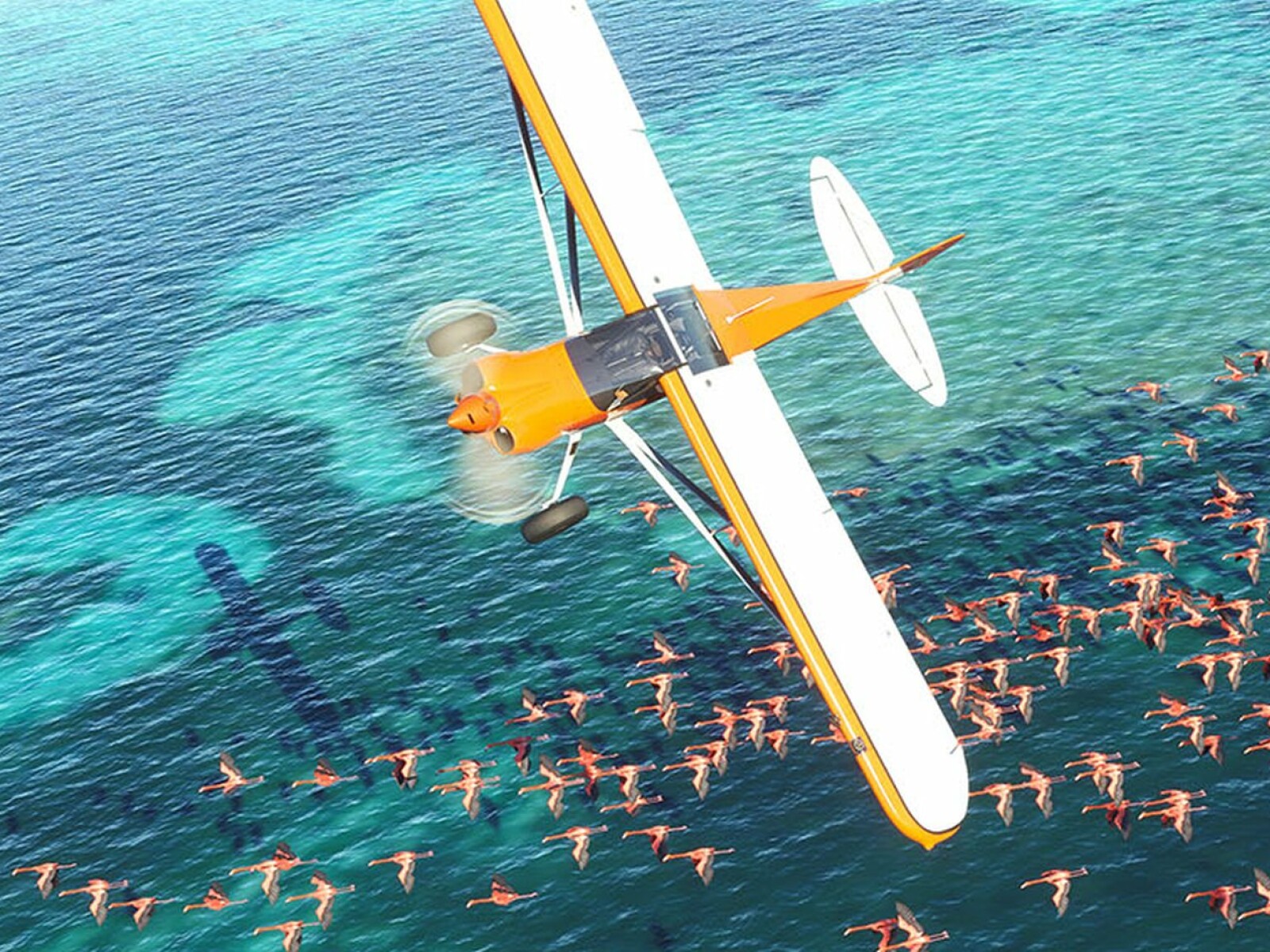 windows 10 microsoft flight simulator