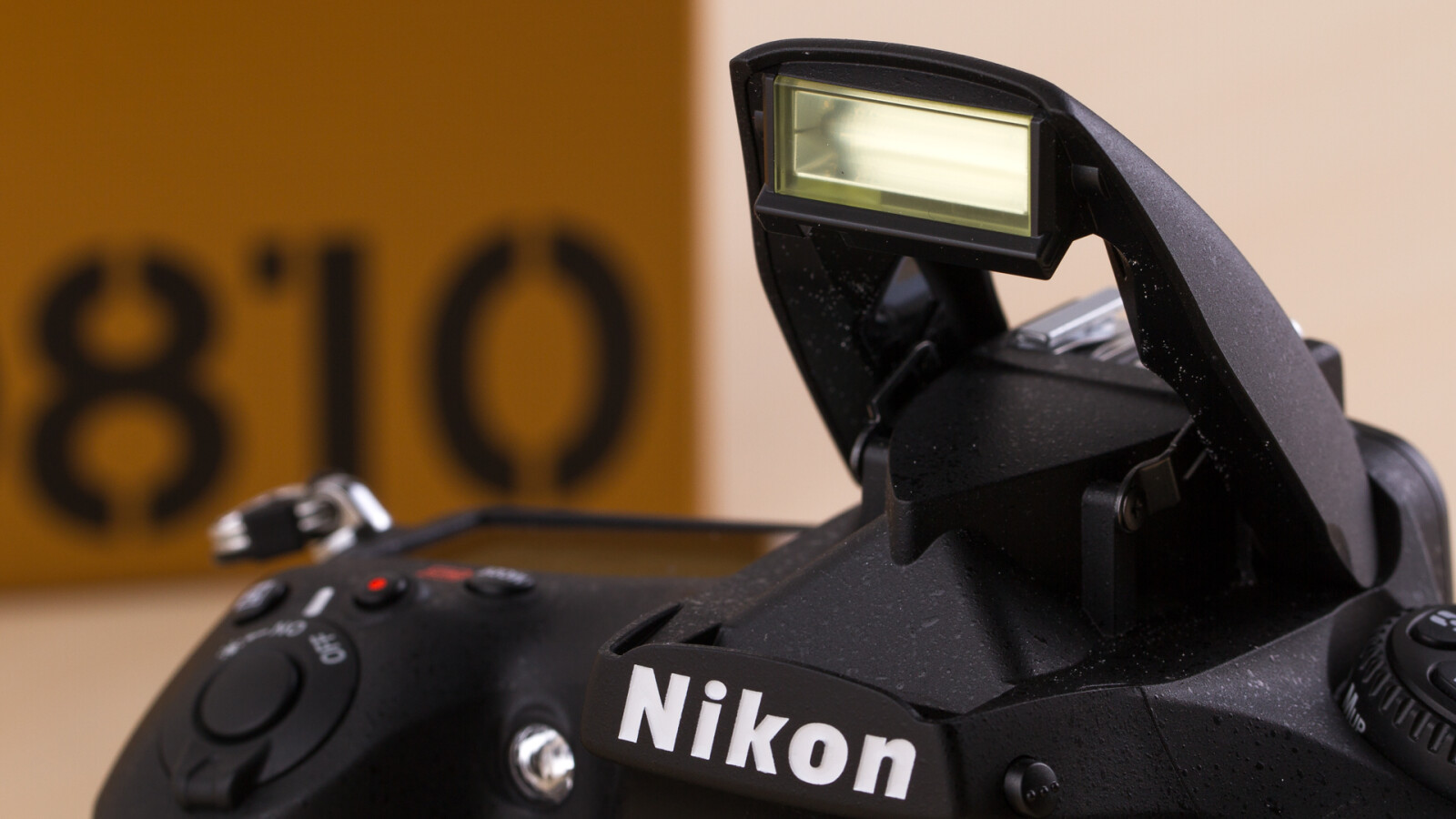 Nikon D810 im Test | NETZWELT