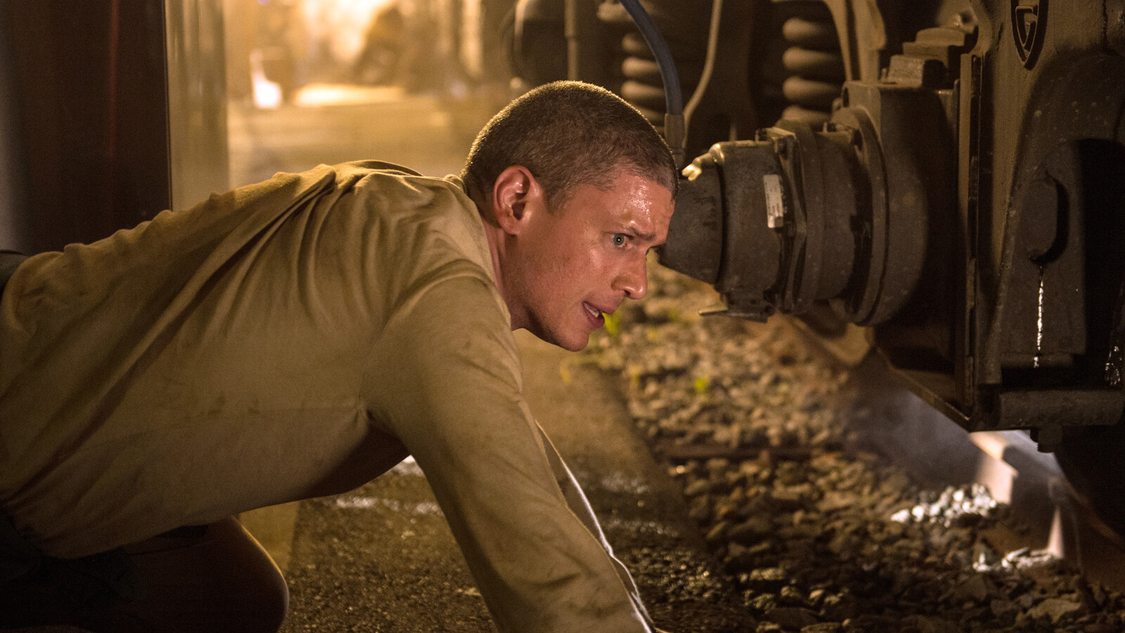 Prison Break 5 Staffeln der spannenden ActionSerie in Bildern NETZWELT