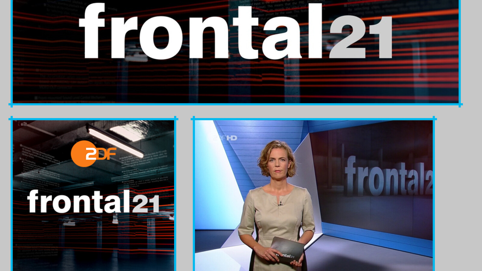Frontal 21 Apfelsorten Frontal 21 Apfelsorten