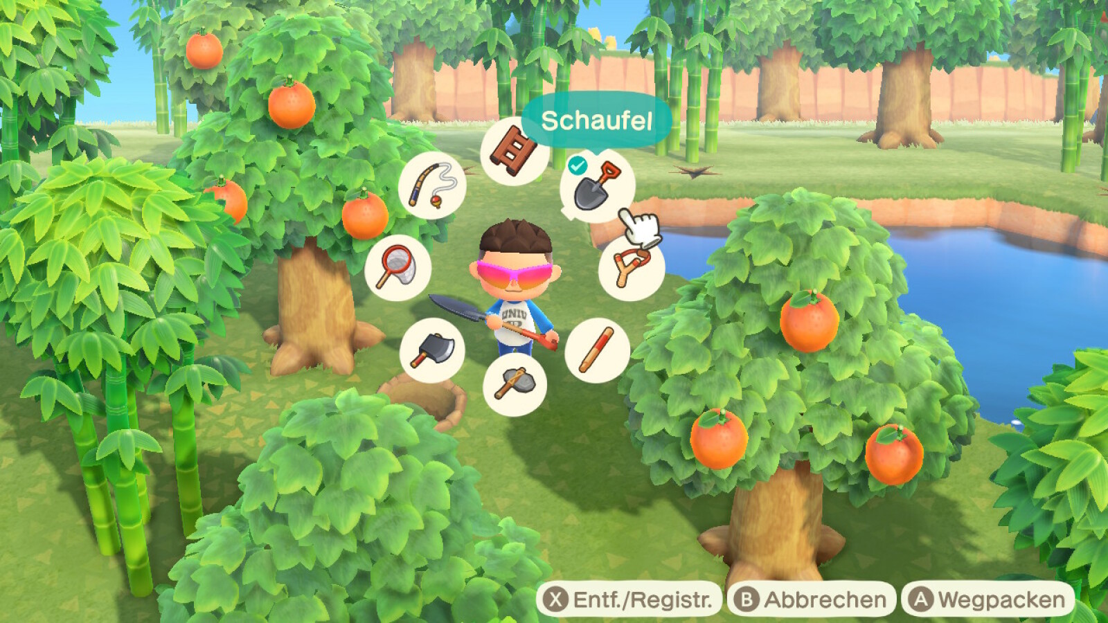 Animal Crossing New Horizons Taschentricks Für Profis Tipps und Tricks für Animal Crossing New Horizons | NETZWELT