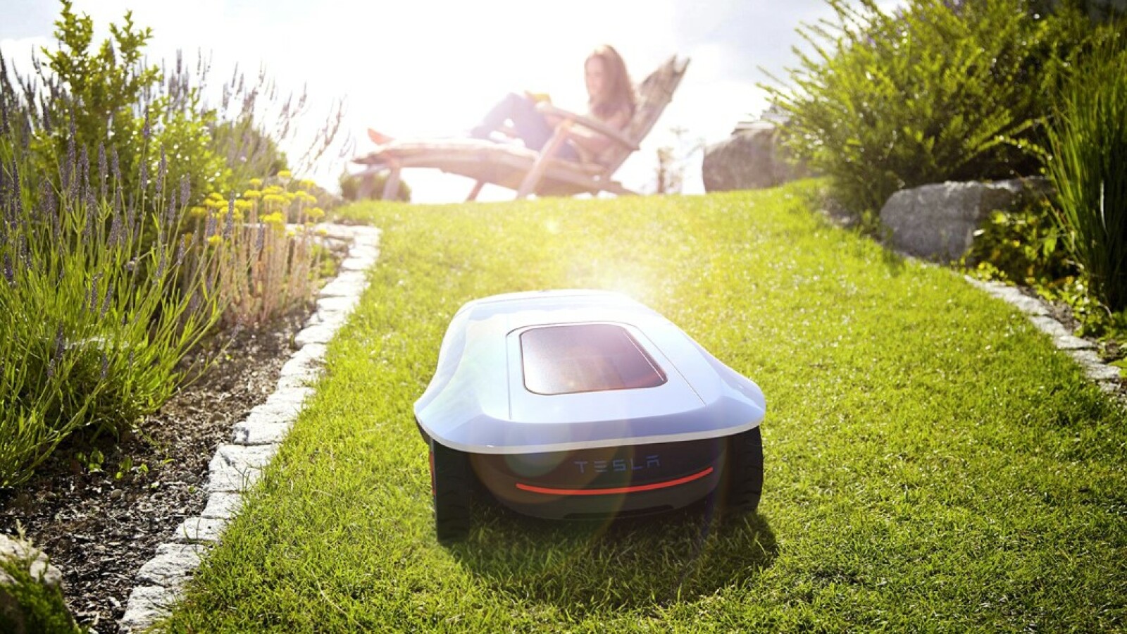 Ein Rasenroboter von Tesla NETZWELT