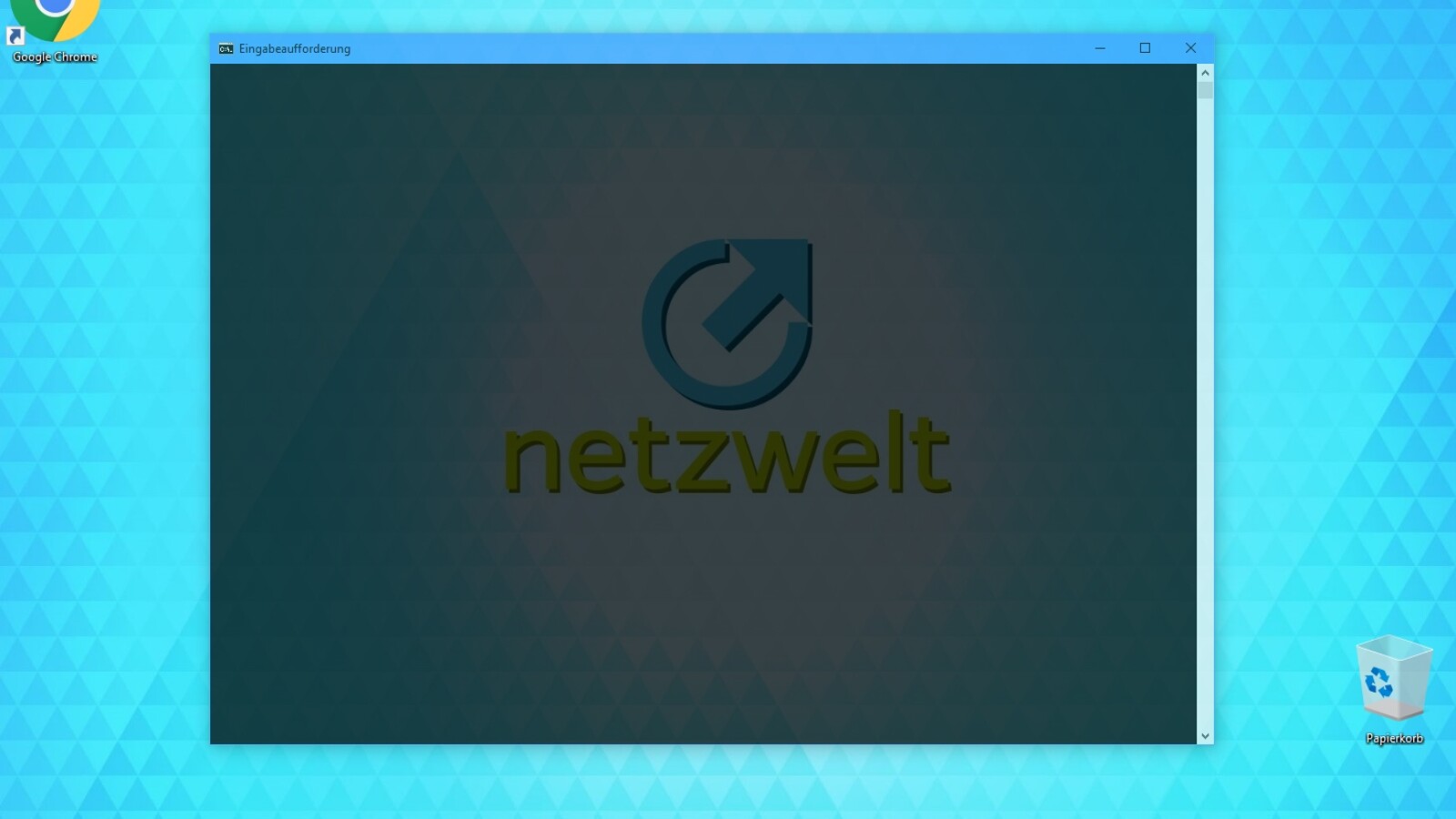 www.netzwelt.de