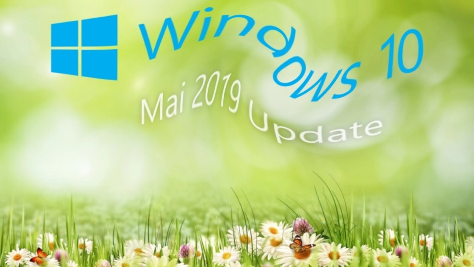 Schwarzer Bildschirm nach WindowsUpdate "Black Screen Bug" beheben NETZWELT