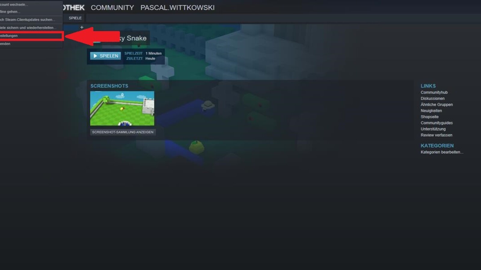 Steam Screenshots machen und im Ordner finden NETZWELT