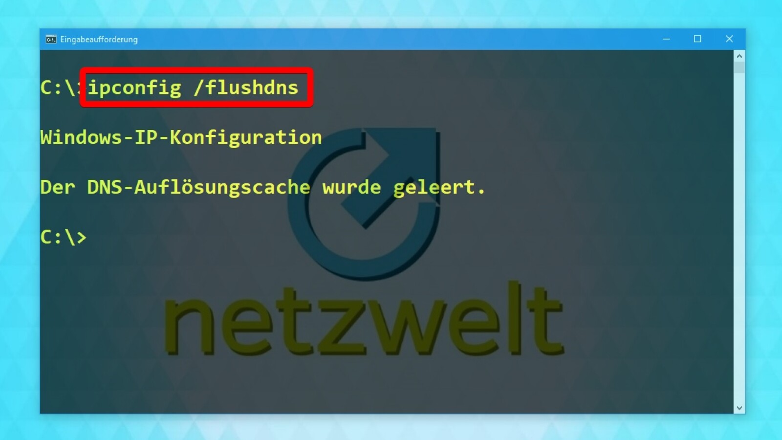 Windows 24: DNS-Cache leeren und Surfspuren verwischen - So geht´s