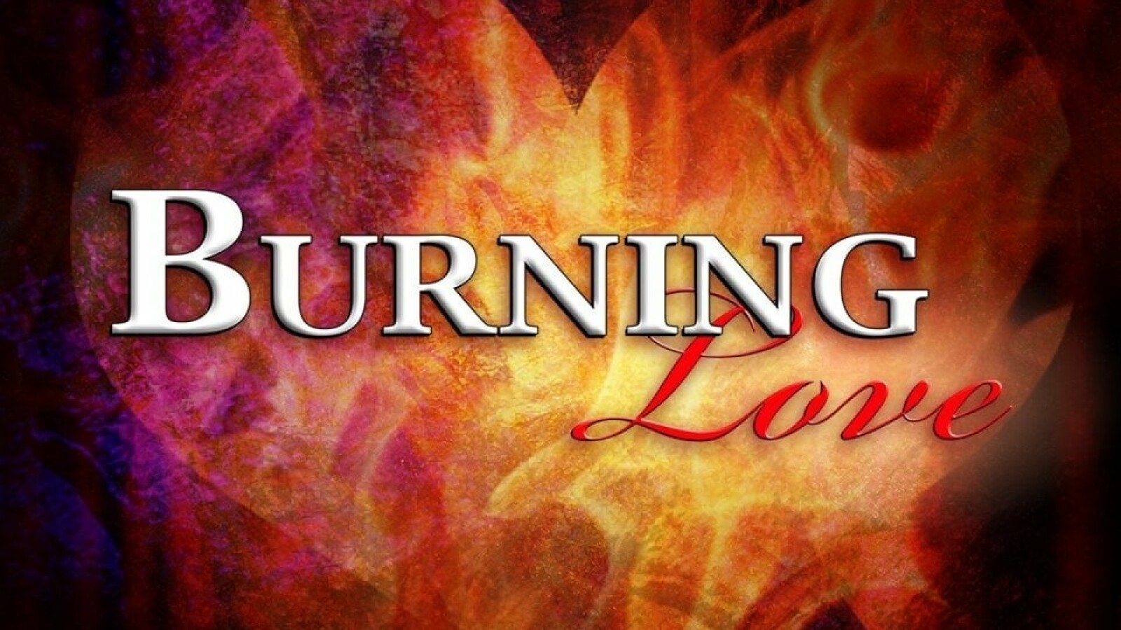 Burning Love Staffeln & Episodenguide NETZWELT