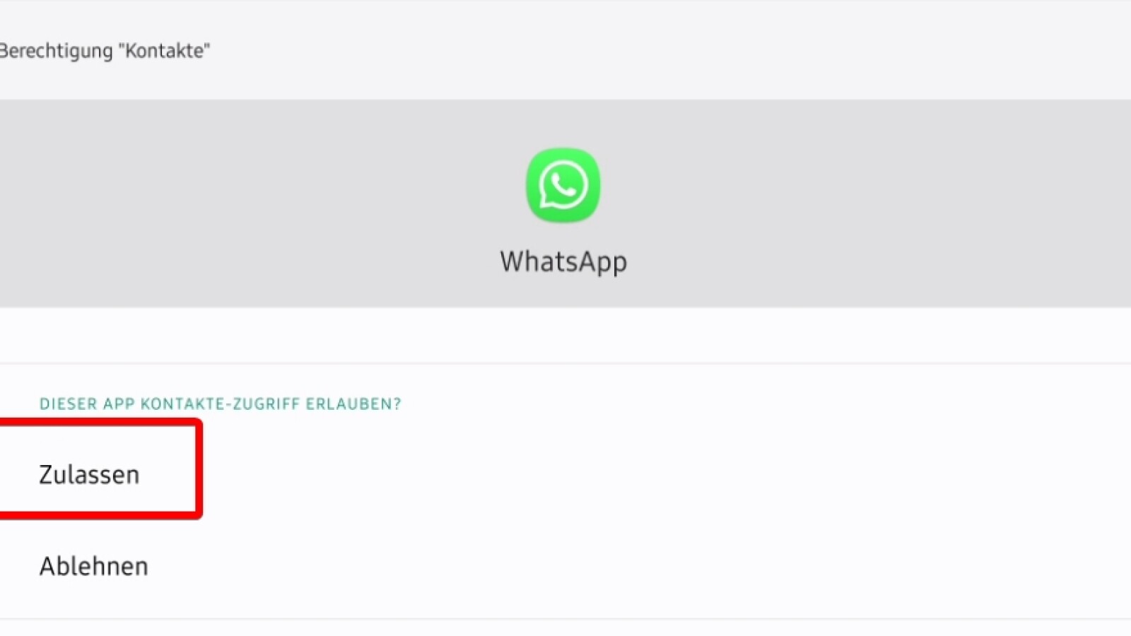 WhatsApp erkennt Kontakt nicht: So löst ihr das Problem | NETZWELT